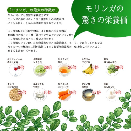 ���󥬤μ�/����ɻ�(100������)