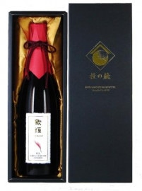 �ڹ뵤�ۡ��γ�������