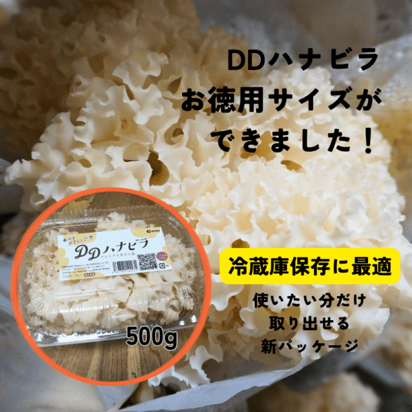 ��DD�ϥʥӥ��祵������/�֤Ӥ�����500��ˣ��ѥå�/������