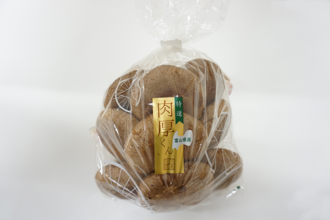 ��ͭ�����ݤ���������/����������300���