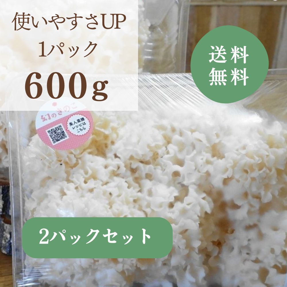 �ֿ�size���֥���Ρ�/�֤Ӥ�����600���2�ѥå�/����̵��