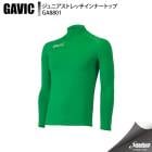 GAVIC ���ӥå� ����˥����ȥ�å�����ʡ��ȥå� GA8801 GRN ���å��� ����������¾