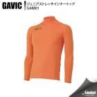 GAVIC ���ӥå� ����˥����ȥ�å�����ʡ��ȥå� GA8801 ORG ���å��� ����������¾