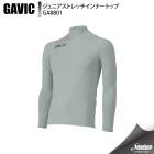 GAVIC ���ӥå� ����˥����ȥ�å�����ʡ��ȥå� GA8801 SLV ���å��� ����������¾