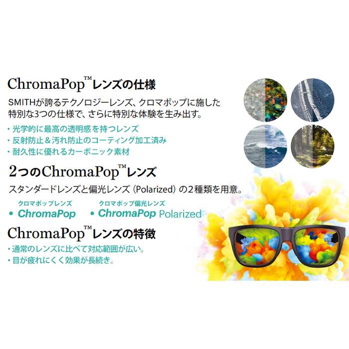 SMITH スミス 20439301 Lowdown2 ローダウン2 Matte Black CP-Polar