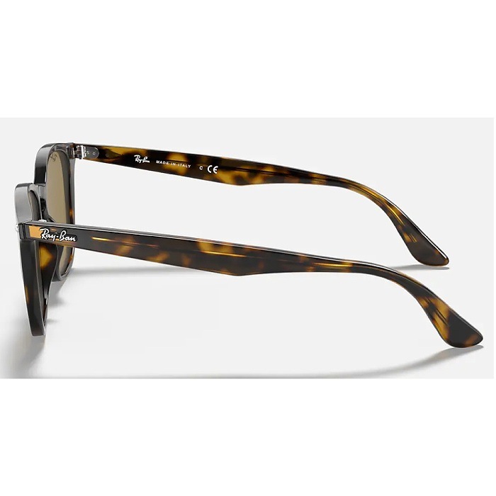 国内正規品] RAYBAN レイバン RB4258F 710/73 LIGHT HAVANA 52