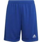 ADIDAS ���ǥ����� ����ȥ顼��22 ���å� ENTRADA22 KGO51 HG6291 ���å��� ���å���������