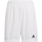 ADIDAS ���ǥ����� ����ȥ顼��22 ���å� ENTRADA22 KGO51 HG6292 ���å��� ���å���������