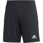 ADIDAS ���ǥ����� ENTRADA22 ���硼�� TG216 H57504 ���å��� ���å���������