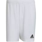 ADIDAS ���ǥ����� ENTRADA22 ���硼�� TG216 HG6295 ���å��� ���å���������