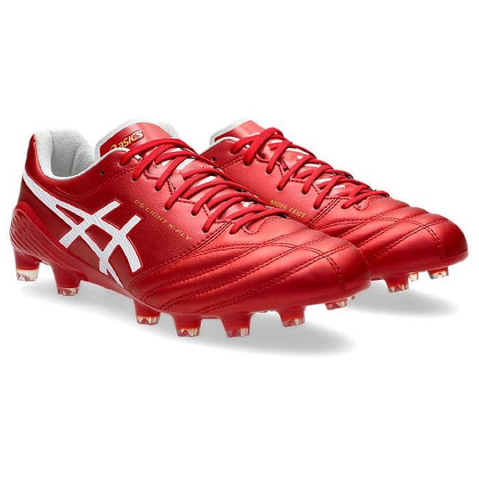 ASICS アシックス DS LIGHT X-FLY 5(ホワイト×シルバー