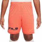 NIKE �ʥ��� ����˥� EH DF ACD25 SHORT(�饤�ȥ磻��ɥޥ󥴡�) HJ3835 643 ����˥� �ץ�ѥ��