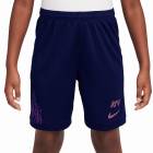 NIKE �ʥ��� YTH DF �����ǥߡ�25 �ϡ��եѥ�� KM(�֥롼�ܥ���) HQ3687 492 ����˥� �ץ�ѥ��