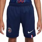NIKE �ʥ��� �ѥꥵ�󥸥���ޥ� ����˥� 25-26 �ۡ��� ��ץꥫ ��˥ե�����ѥ��(�ͥ��ӡ�) HJ5596 410