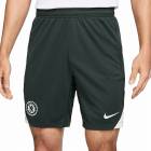 NIKE �ʥ��� �����륷�� DF ���ȥ饤�� ���硼��(�����ȥ��꡼��) HJ6748 347 ��ץꥫ �ץ�ѥ��