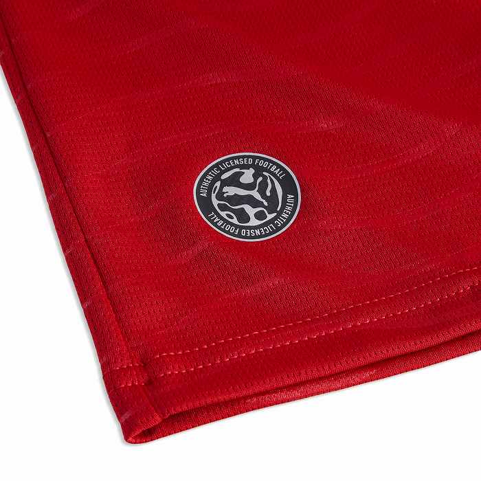 PUMA プーマ ポルトガル代表 2026 ホーム 半袖 レプリカ ユニフォーム