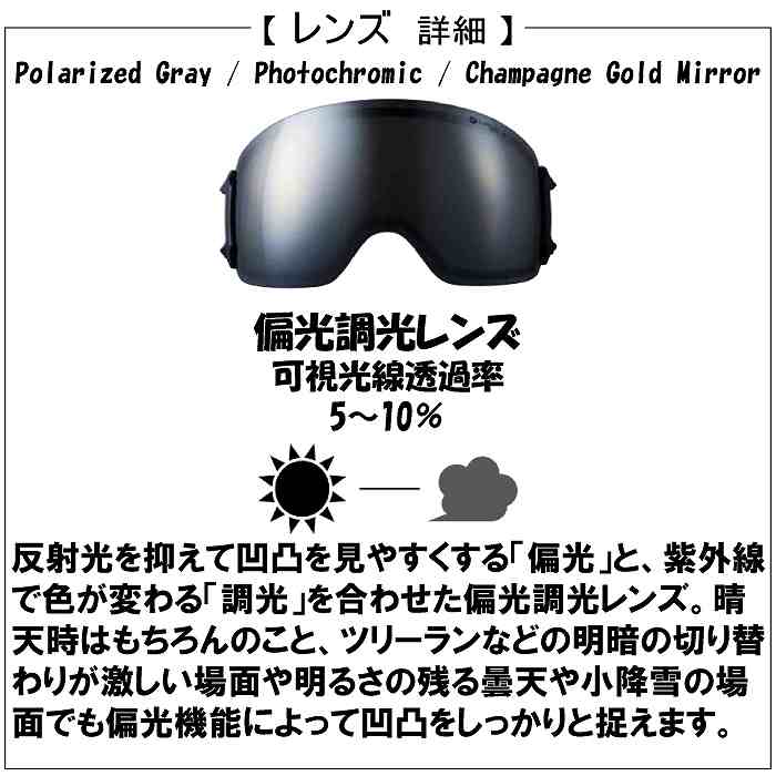 DICE ダイス BANK バンク GRY BK65573 スキー スノーボード ゴーグル