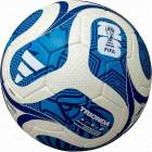 ADIDAS ���ǥ����� �ȥꥪ��� �꡼�� (�ۥ磻�ȡߥ֥롼) ADF524WB ���å����ܡ��� ����� 5���