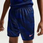 NIKE �ʥ��� ����˥� �ե����ɽ FFF 2026 �ۡ��� ��ץꥫ ��˥ե�����ѥ��(�֥롼) IB5266 480