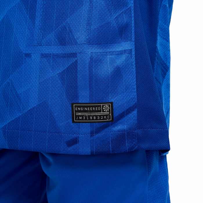 NIKE ʥ 륷 ˥ 25-26 ۡ Ⱦµ ץꥫ ˥եॷ(֥롼) HJ5285 496