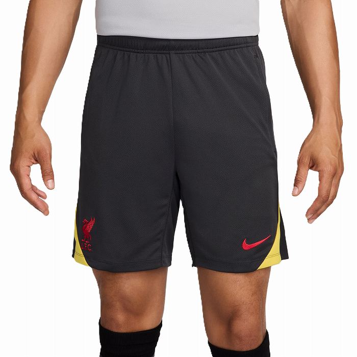 NIKE ʥ Хס 3rd STRK SHORT(졼) FQ2423 070 å ץꥫ ϡեѥ