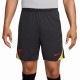 NIKE ʥ Хס 3rd STRK SHORT(졼) FQ2423 070 å ץꥫ ϡեѥ
