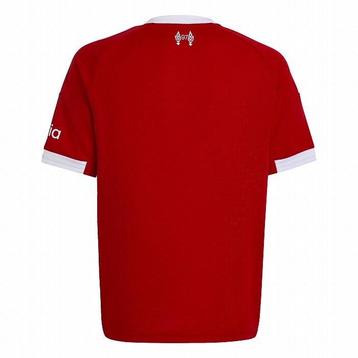 ADIDAS ǥ Хס ˥ 25-26 ۡ Ⱦµ ץꥫ ˥եॷ(å) JYF33 JV6436