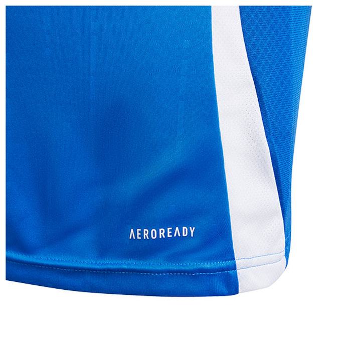 ADIDAS ǥ ˥ ꥢɽ 2024 ۡ Ⱦµץꥫ˥ե GZK61 IQ0496 å ¾