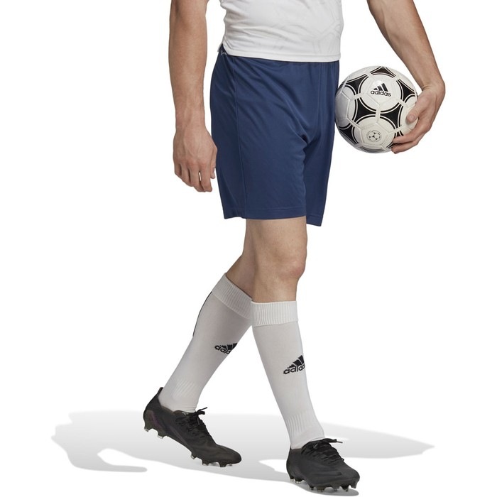 ADIDAS ���ǥ����� ENTRADA22 ���硼�� TG216 H57506 ���å��� ���å���������