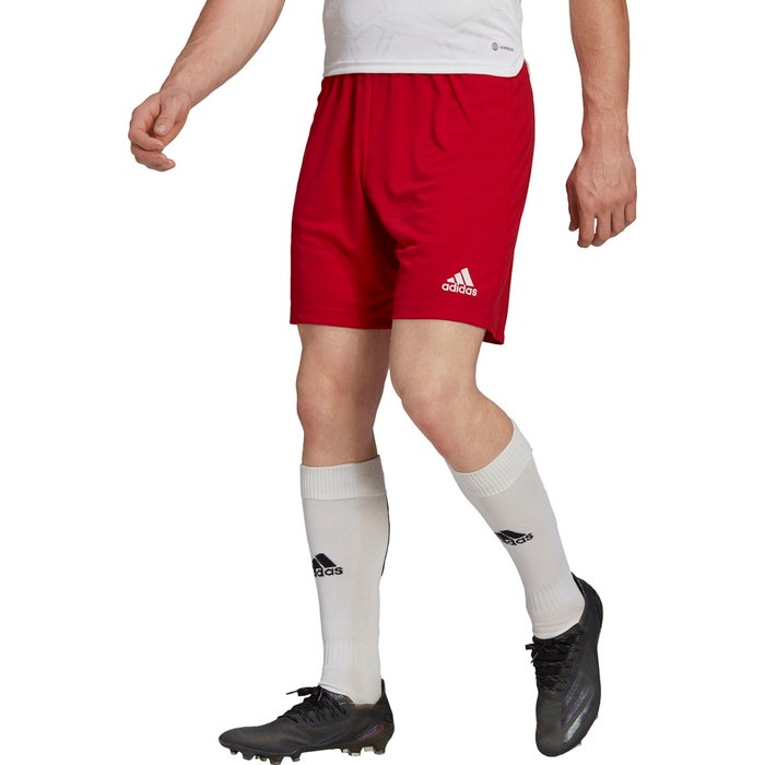 ADIDAS ���ǥ����� ENTRADA22 ���硼�� TG216 H61735 ���å��� ���å���������