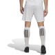 ADIDAS ���ǥ����� ENTRADA22 ���硼�� TG216 HG6295 ���å��� ���å���������