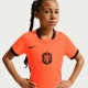 NIKE �ʥ��� ����˥� ��������ɽ KNVB 2026 �ۡ��� Ⱦµ ��ץꥫ ��˥ե����ॷ���(�����) IB5165 809