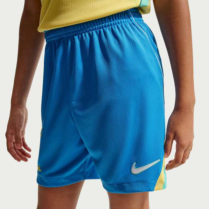NIKE �ʥ��� ����˥� �֥饸����ɽ CBF 2026 �ۡ��� ��ץꥫ ��˥ե�����ѥ��(�֥롼) IO2233 435