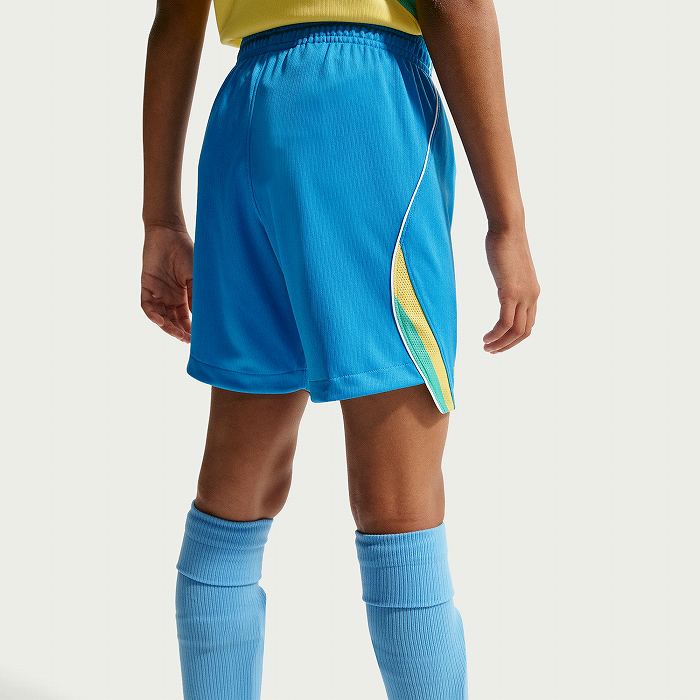 NIKE �ʥ��� ����˥� �֥饸����ɽ CBF 2026 �ۡ��� ��ץꥫ ��˥ե�����ѥ��(�֥롼) IO2233 435