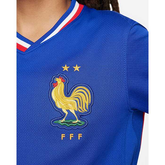 NIKE ʥ ˥ եɽ 2024 ۡ Ⱦµץꥫ˥ե FJ1583 452 ֥饤ȥ֥롼ߥ˥Сƥå å ¾