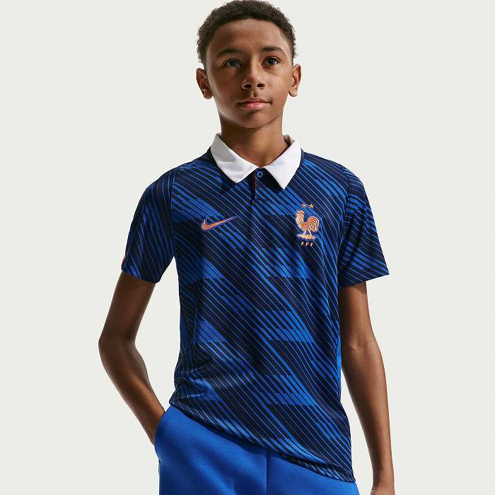 NIKE �ʥ��� ����˥� �ե����ɽ FFF 2026 �ۡ��� Ⱦµ ��ץꥫ ��˥ե����ॷ���(�֥롼) IB5129 480