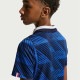 NIKE �ʥ��� ����˥� �ե����ɽ FFF 2026 �ۡ��� Ⱦµ ��ץꥫ ��˥ե����ॷ���(�֥롼) IB5129 480