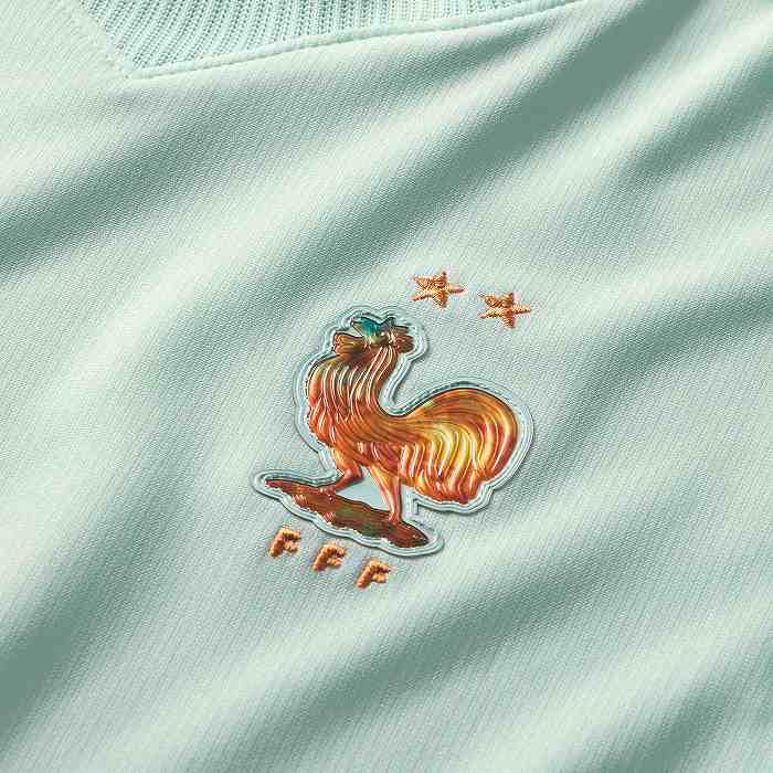 NIKE �ʥ��� ����˥� �ե����ɽ FFF 2026 �������� Ⱦµ ��ץꥫ ��˥ե����ॷ���(�����롼) IB5202 394