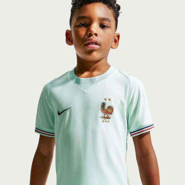 NIKE �ʥ��� ����˥� �ե����ɽ FFF 2026 �������� Ⱦµ ��ץꥫ ��˥ե����ॷ���(�����롼) IB5202 394