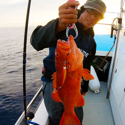 ZERO NANA HOOK/ZERO 7 HOOK DOUBLE COMBI(ゼロナナフックダブル