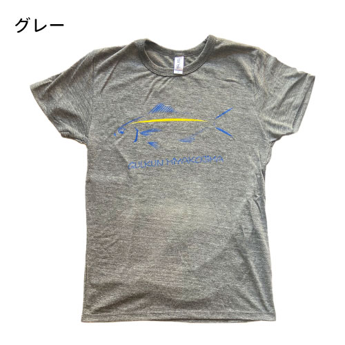 ☆ブルーハーツ☆1988年☆トレイントレインライブツアーグッズタオル☆Tシャツ Amazon.co.jp: ザブルーハーツ 1989-1990 ON TOUR 杉浦逸生