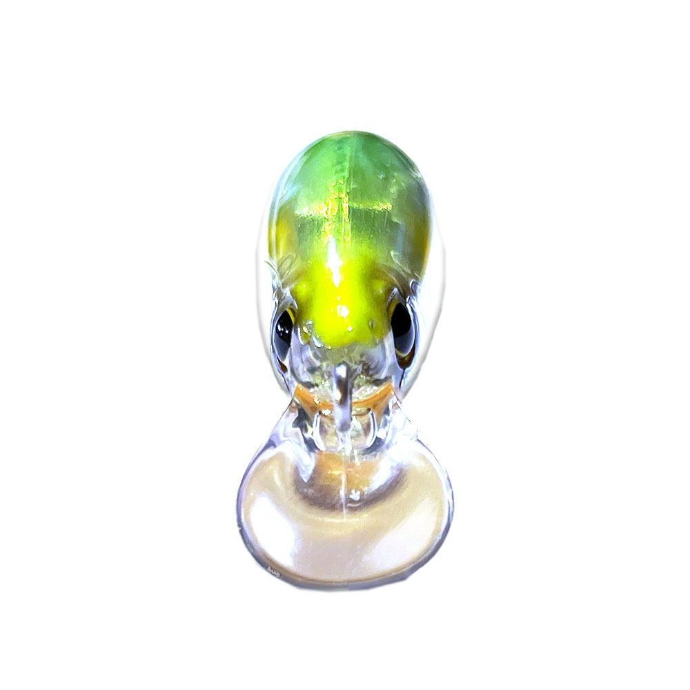 SHIMANO/EXSENCE Silent Assassin(エクスセンス サイレントアサシン