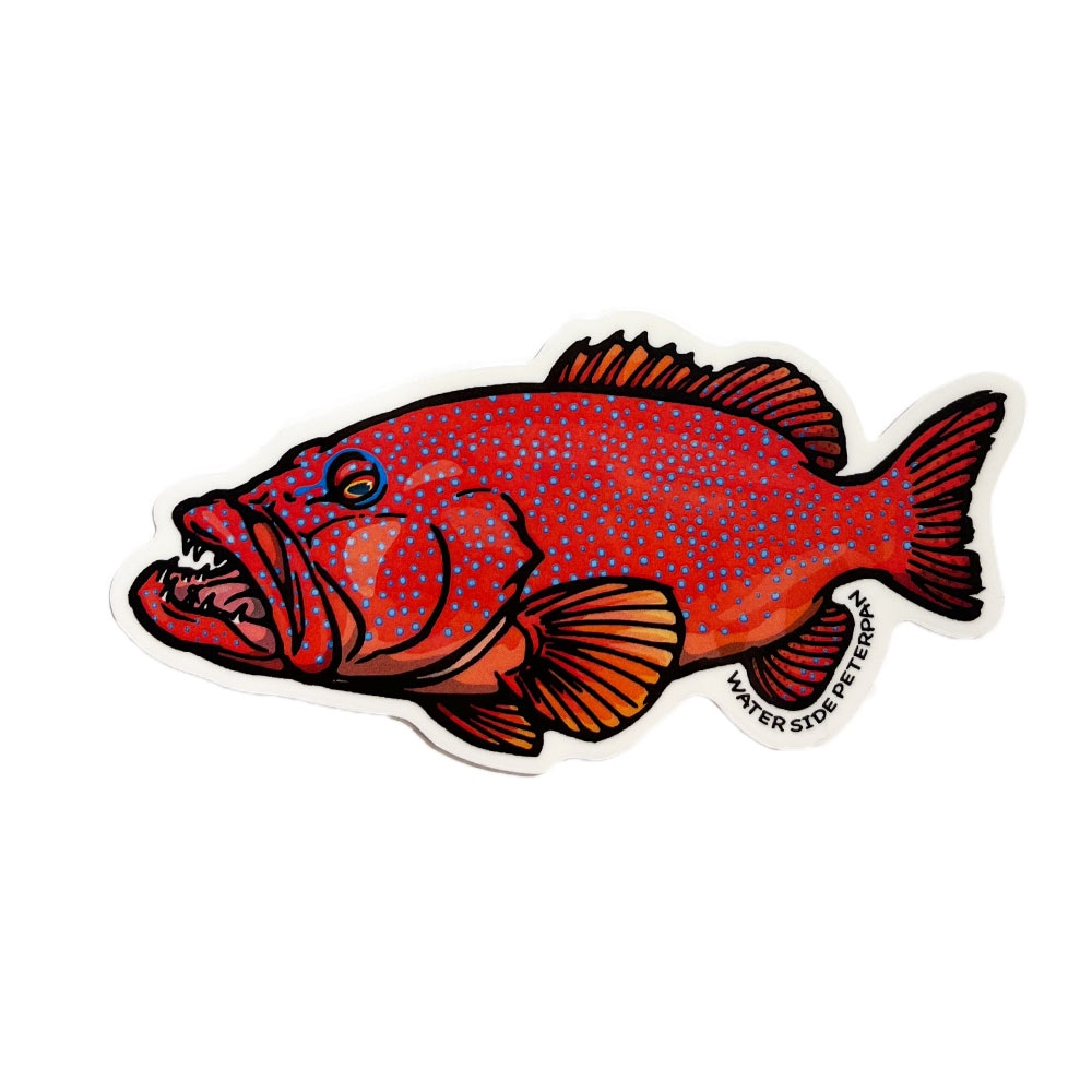 1_000000000485.jpg?1699251278