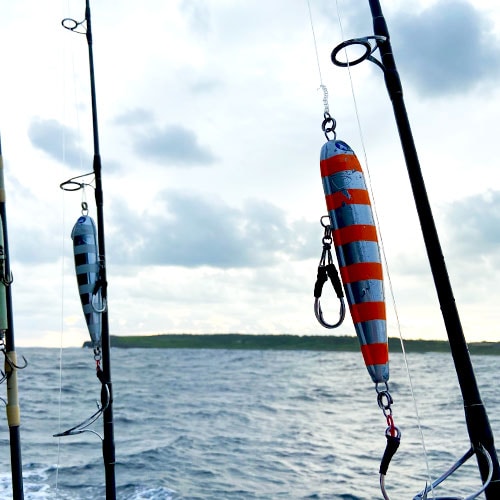 BlueBlue/SNECON(スネコン)180S ゼブラカラー オリジナルカラー