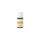 ���� ����������ƥ� ���å��󥷥�륪���� ������ 5ml ��󥰥�ӥ� Young Living
