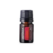 �ɥƥ�ѥå���� 5ml