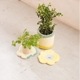 MOYO ץ󥿡С/planter cover 48.516cm