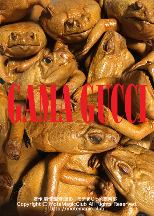 GAMA_GUCCI ★新種捕獲 new★
