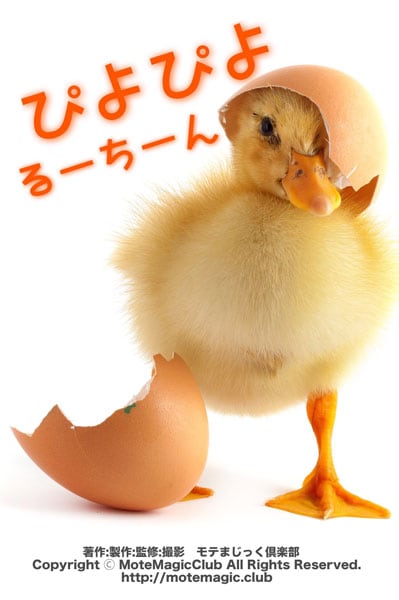 �Ԥ�Ԥ�롼���������åץ��åס�