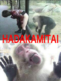 HADAKA MITAI　★★破顔一笑★★